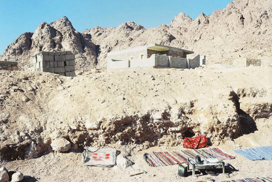 AmhedHosni.jpg