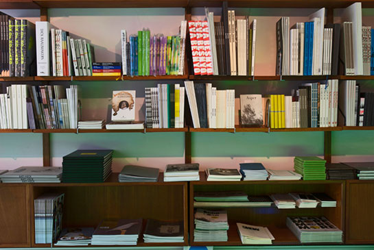 BookshelveHester.jpg