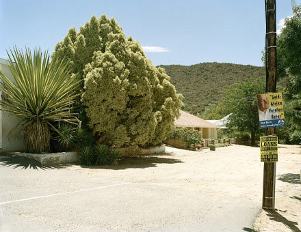 DavidGoldblatt.jpg