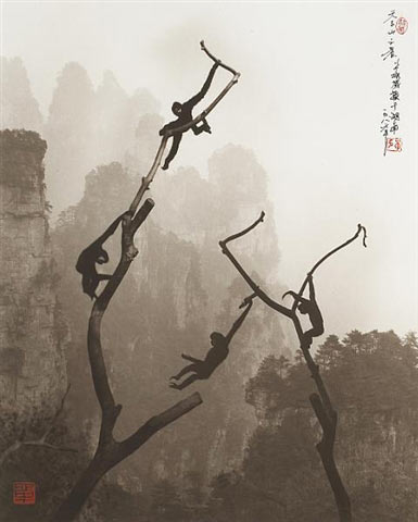 DonHongOai.jpg