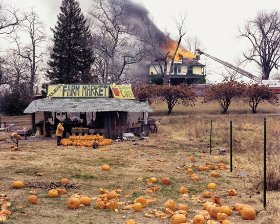 JoelSternfeld.jpg