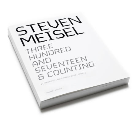 StevenMeisel_317_cover.jpg