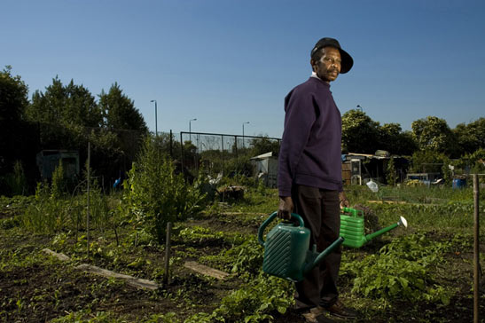TadhgDevlin.jpg