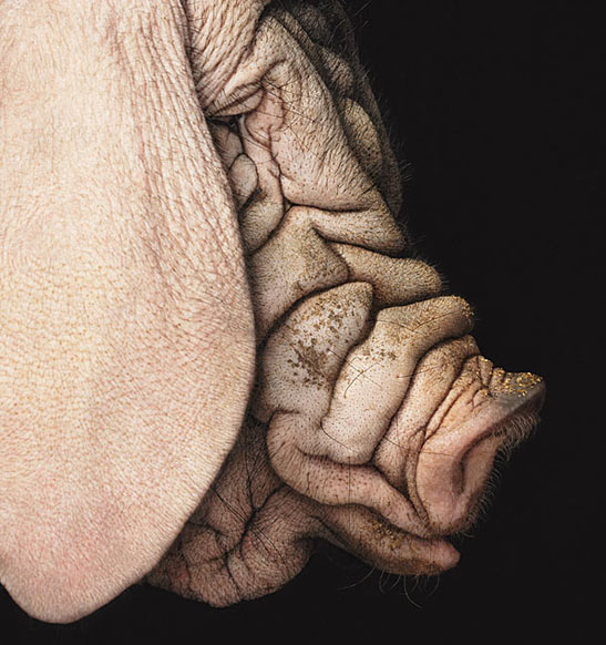 TimFlach.jpg