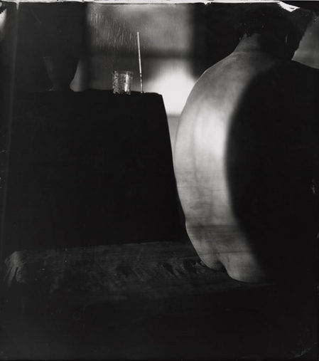 SallyMann_ProudFlesh_XXVIII.jpg