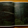 Lange---Wald---spread-07.jpg